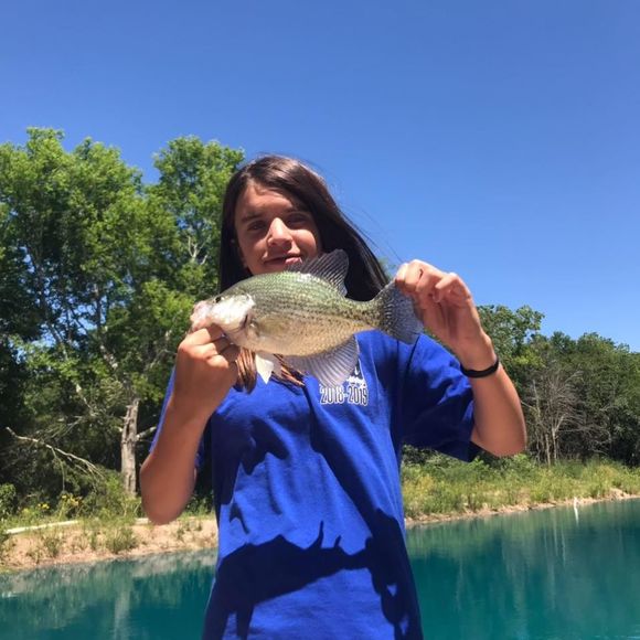 Meet your Posher, Sam - Picture 1 of 1